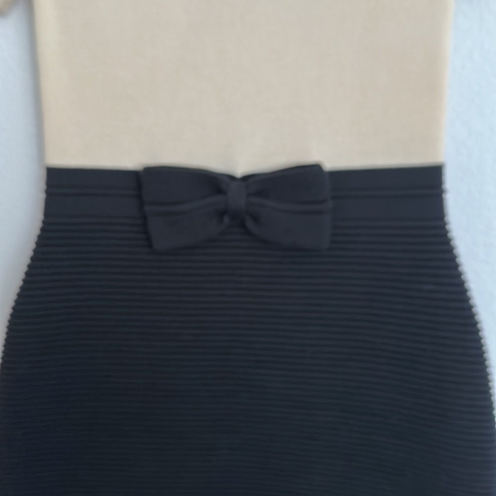 Kate Spade Beige and Black Mini Dress - Picture 10 of 13